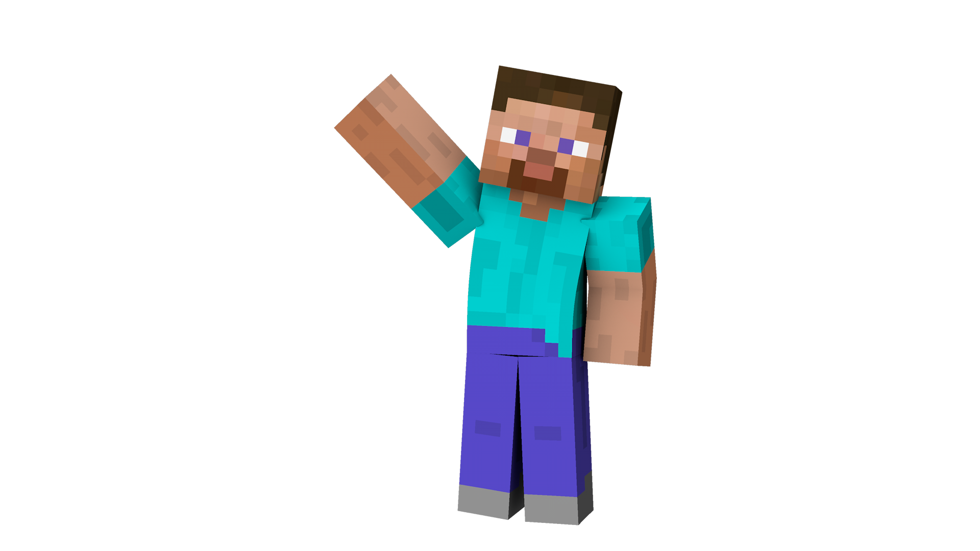 Minecraft person